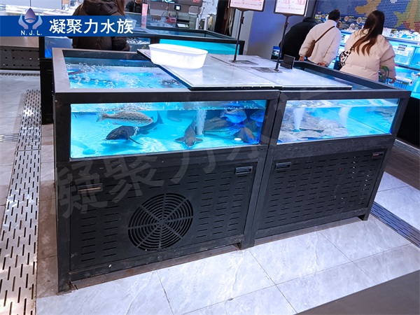 重慶魚缸廠家