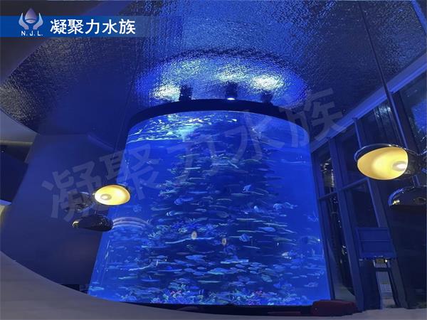 海洋館施工