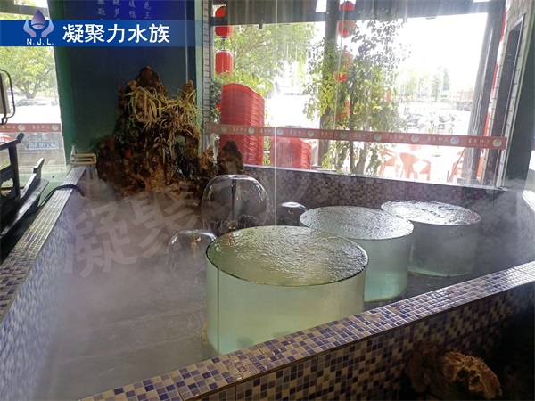 大型觀賞魚缸